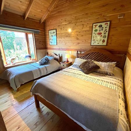 Hostal Pucon Sur Экстерьер фото